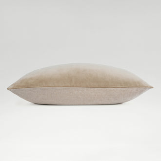 Hazelnut-product_image