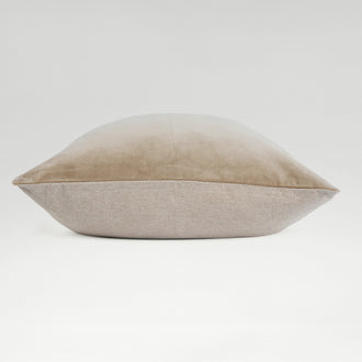 Hazelnut-product_image