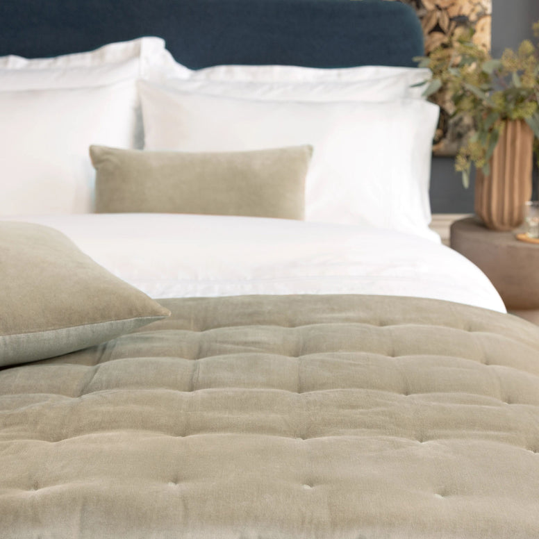 Hazelnut-product_image