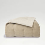 Hazelnut-product_image