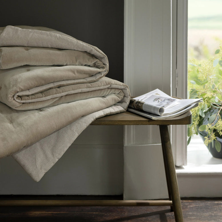 Hazelnut-product_image