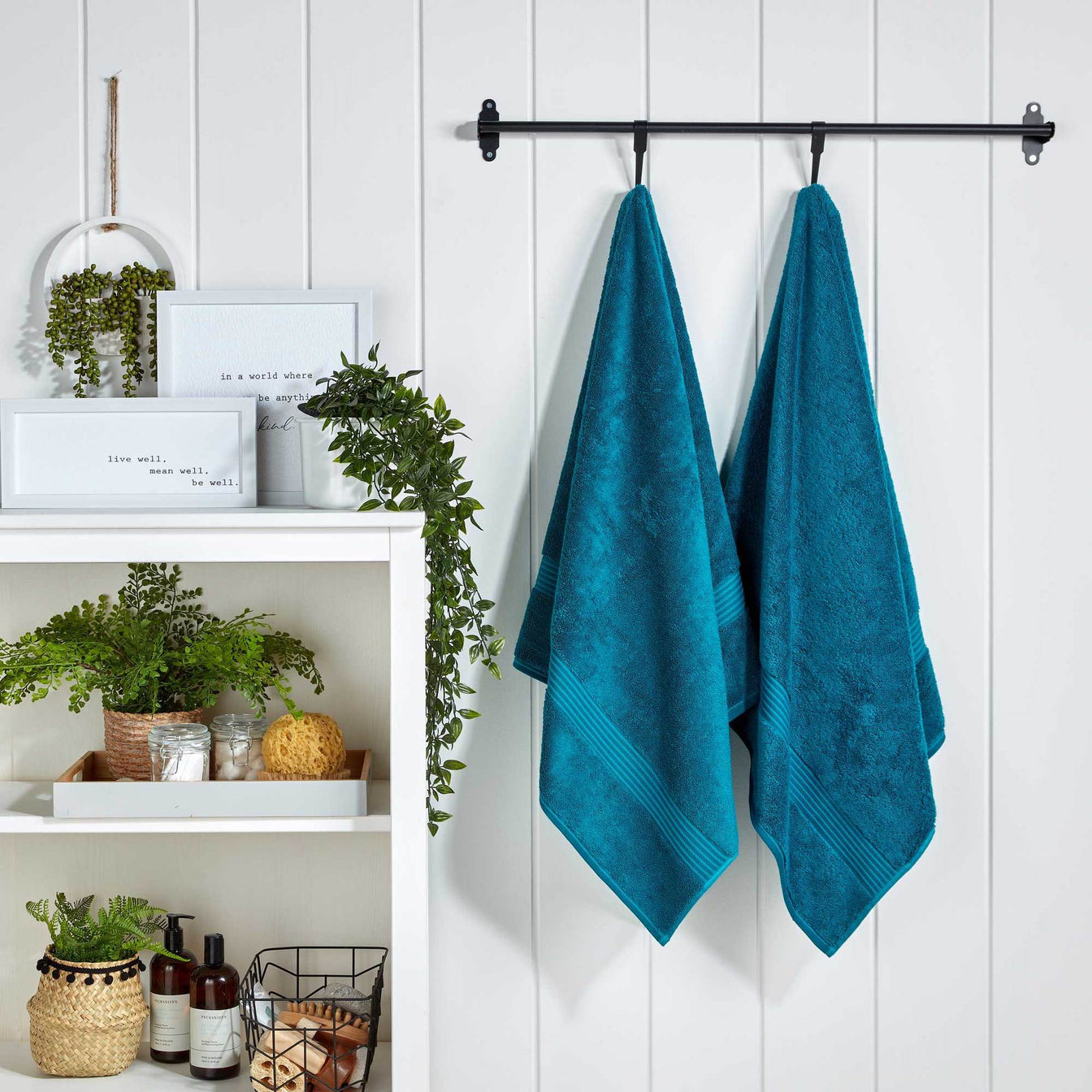 Kingfisher-product_image