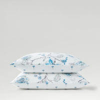 53211765080431